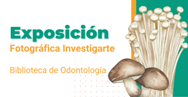 Cursos de formación complementaria