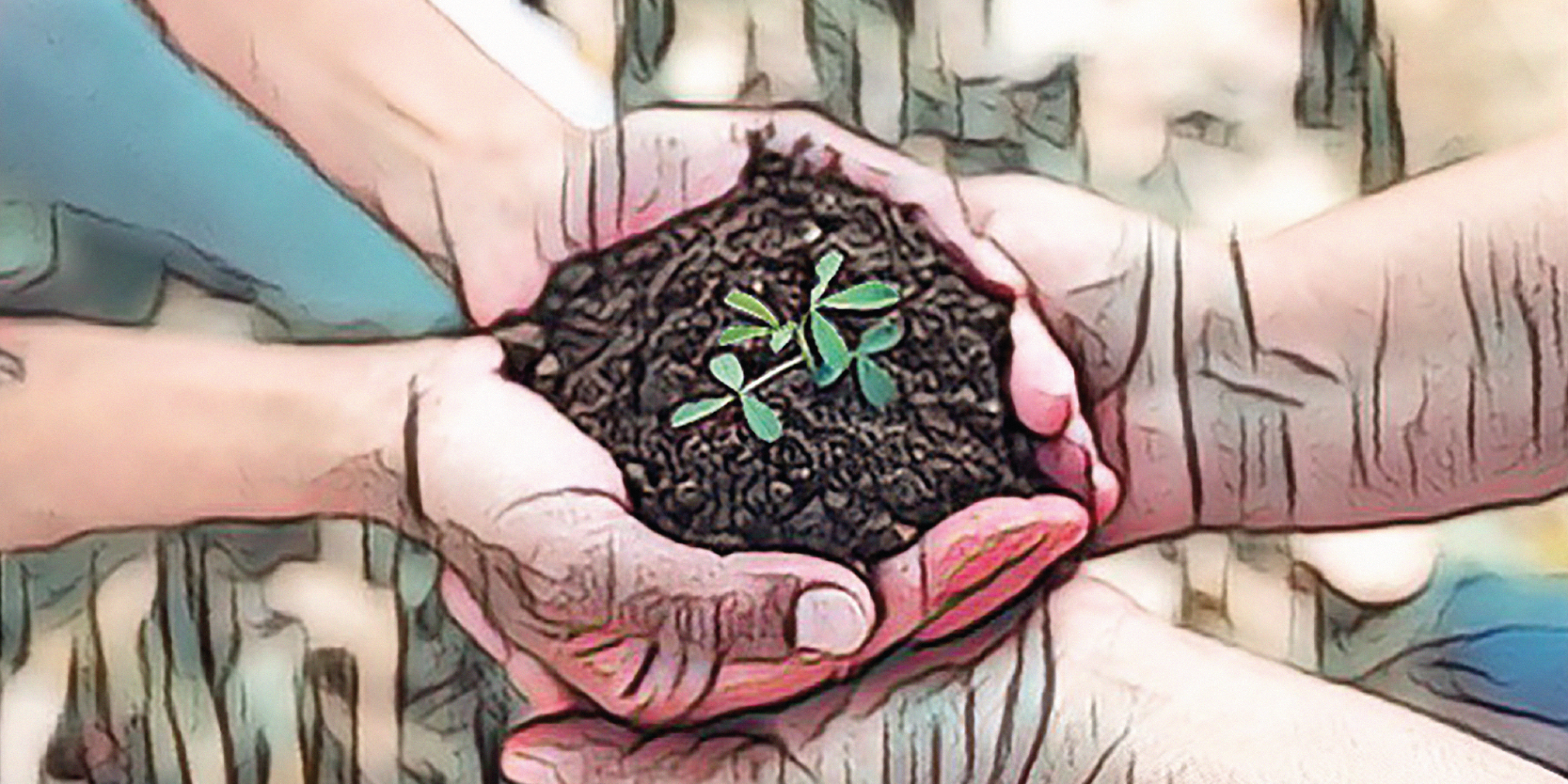 Nuestra especialización en carne recibe registro calificado