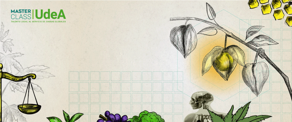 masterclass udea masterclass udea