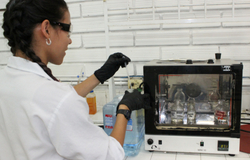 Servicios extensión