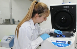 Producción científica