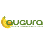 Logo AUGURA