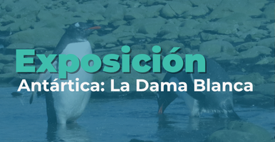 Exposición | Antártica: La Dama Blanca