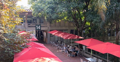 Foto de estudiantes de la FDCP de la UdeA