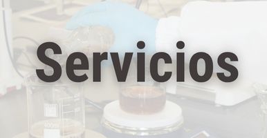 Producción científica