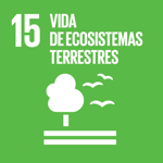 Vida de ecosistemas terrestres