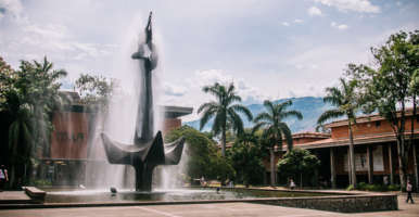 cultura udea