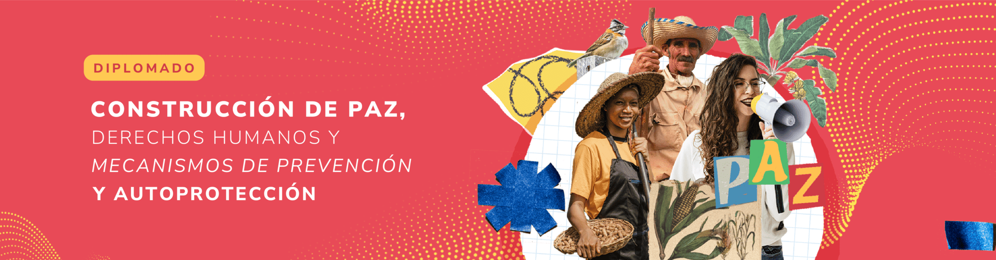 Diplomado de paz