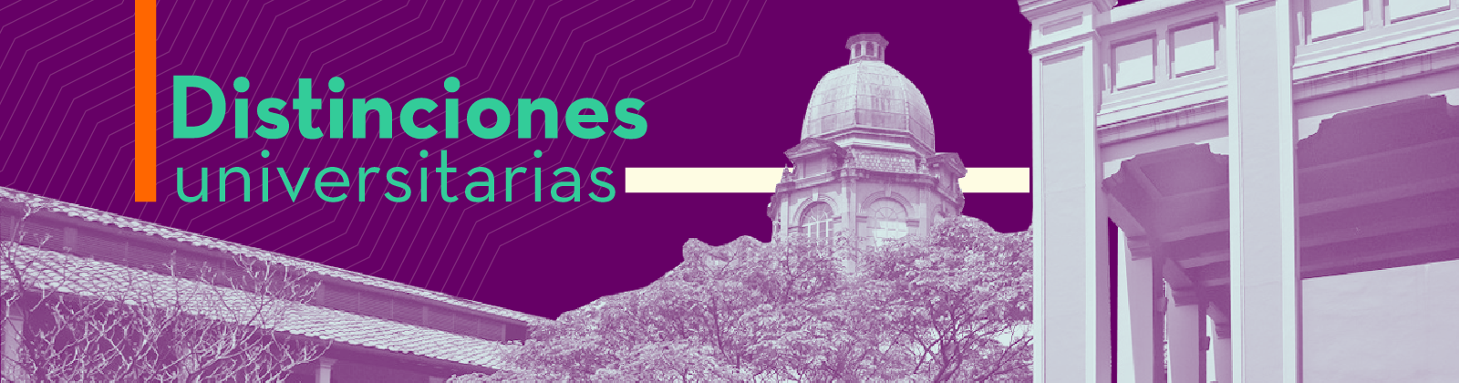 egresados udea