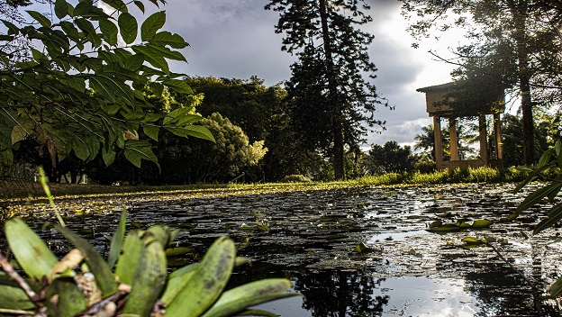 Nuevamente la UdeA fue reconocida por buenas prácticas de sostenibilidad