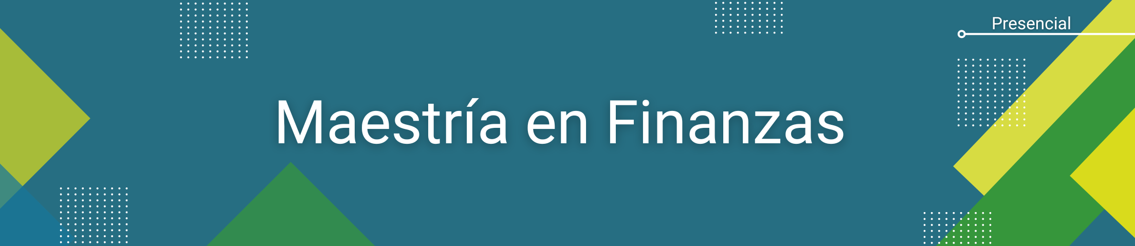 maestria en finanzas