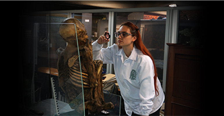 Hablemos de. Habitantes del Museo: caracterización bioantropológica de dos momias del MUUA