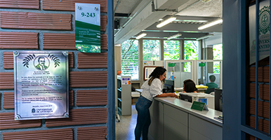 Paua Iner 2024 - 2027