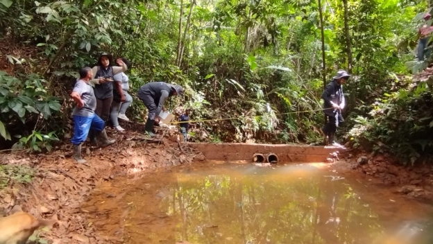 La UdeA lidera trabajo por la restauración ecológica de cuencas en el Bajo Cauca