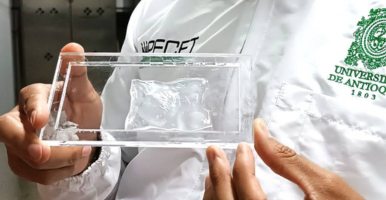 Con investigación genética, estudiante UdeA contribuye a la conservación del tití cabeciblanco