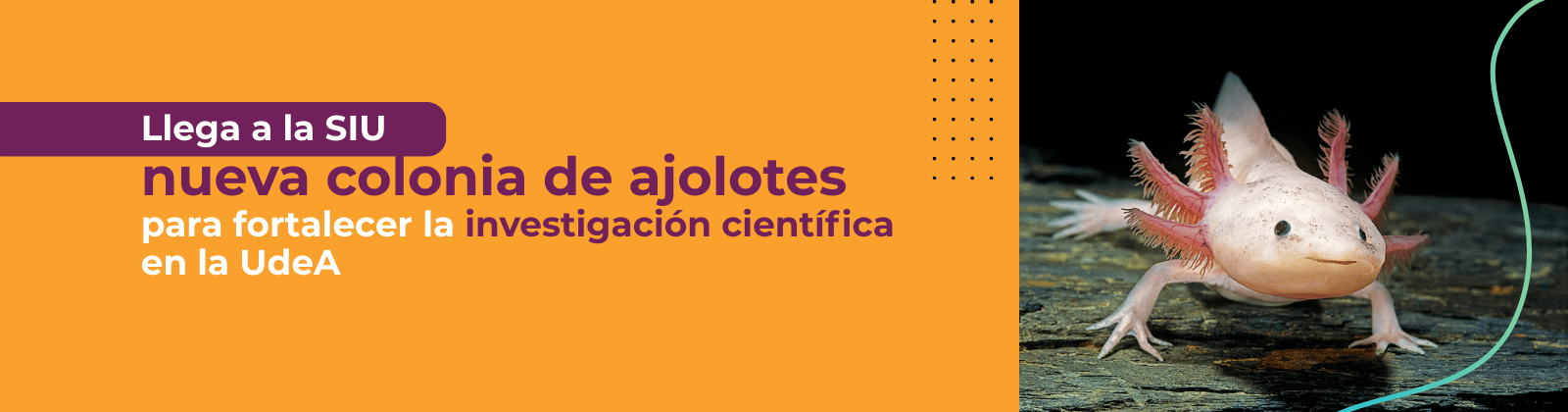 iamgen con síntomas de la malaria y UdeA como lugar de tratamiento en la SIU