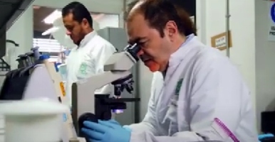 Leukopop 2T: UdeA’s latest patent offers new hope for leukemia patients 