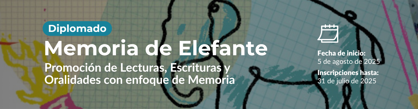 Diplomado Memoria de Elefante II Cohorte