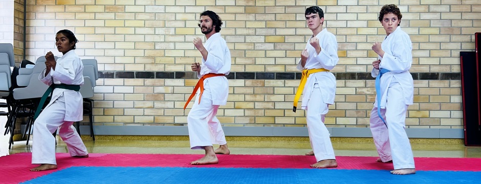 Semillero de Karate Do Semillero de Karate Do