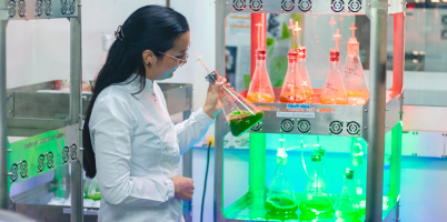 Con investigación genética, estudiante UdeA contribuye a la conservación del tití cabeciblanco