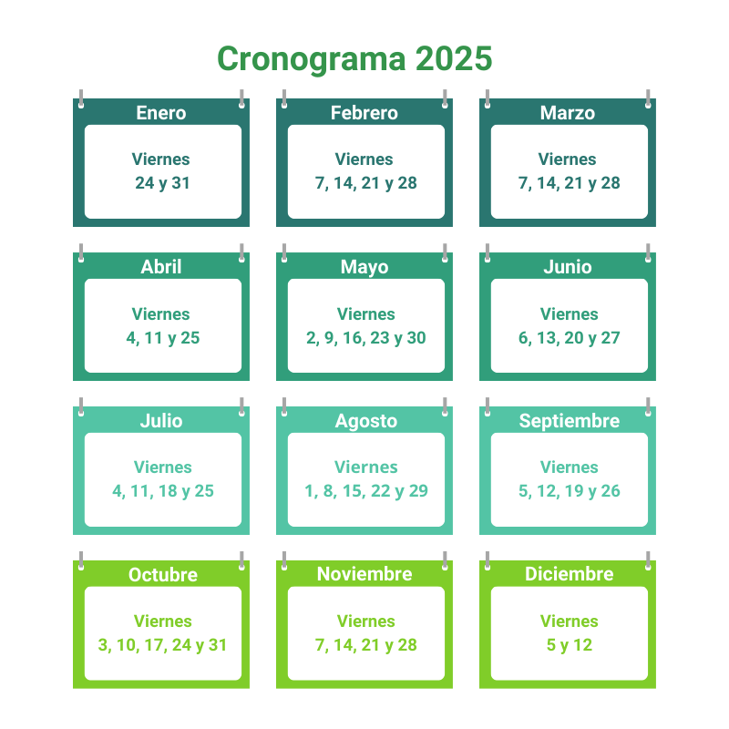 El Comité de Transitorios se reunirá este 2025 todos los viernes hábiles de cada mes.