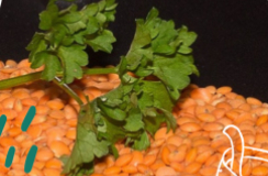 Lentejas rojas al curry