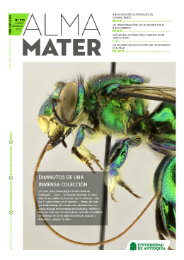 Portada del Periódico Alma Mater Edición 700