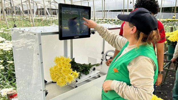Tres innovaciones UdeA llegan al sector floricultor