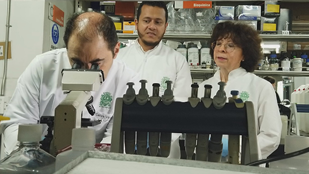Leukopop 2T: nueva patente UdeA da esperanza a pacientes con leucemia