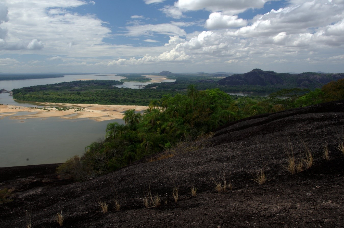 A view of a river and a forest

Description automatically generated with medium confidence