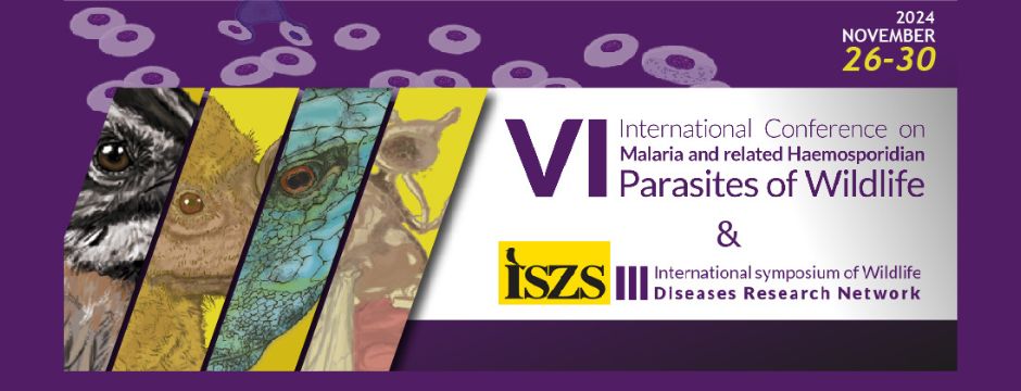 Banner VI International Conference on Malaria