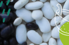 Ceviche de frijol blanco