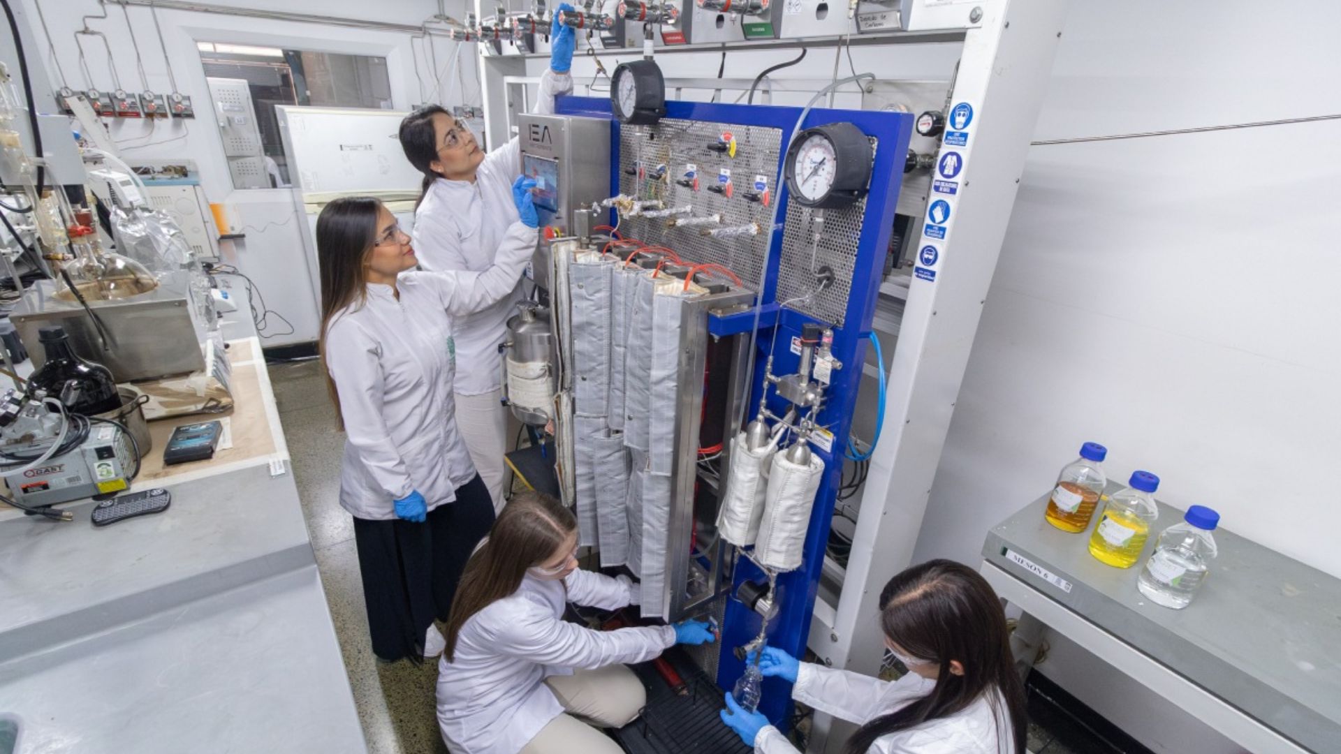 Con investigación genética, estudiante UdeA contribuye a la conservación del tití cabeciblanco