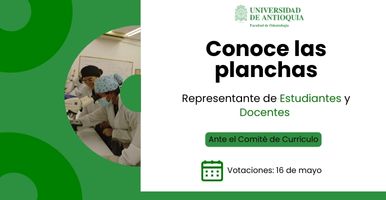 Planchas comité de currículo