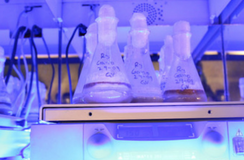 Producción científica